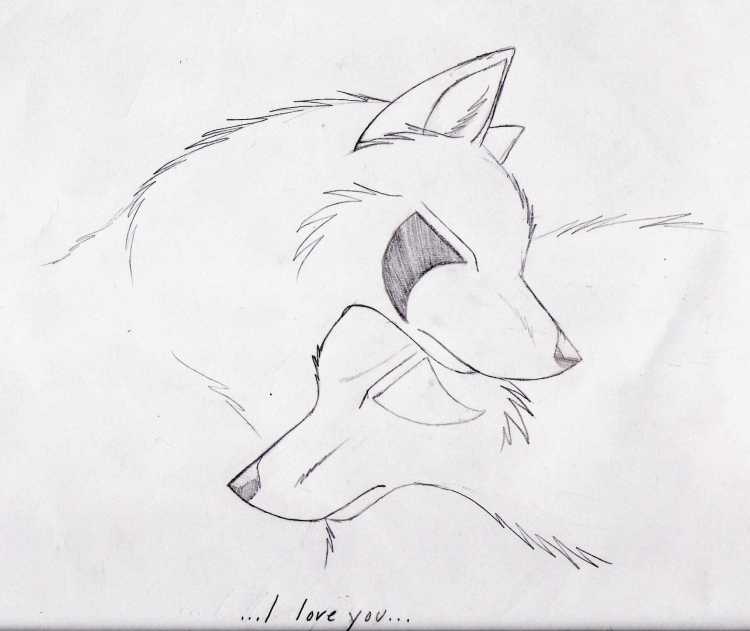 Рисунки Волков карандашом для срисовки
