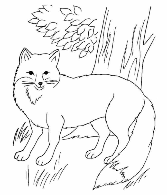 Раскраска Лисёнок для детей 3-4 лет