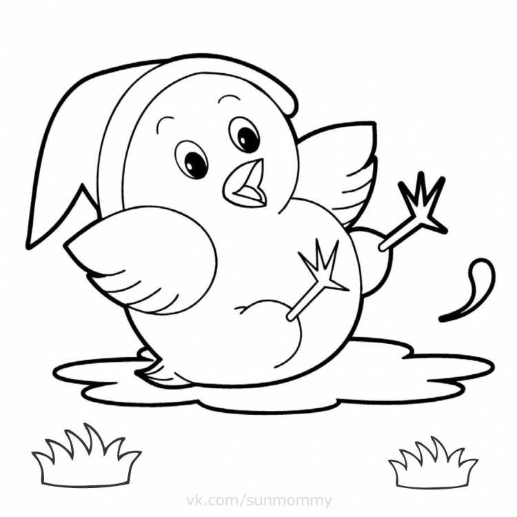 Цыпленок. Раскраски