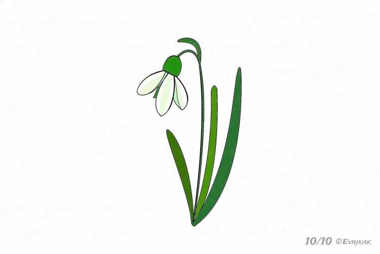 Рисование весенних цветов