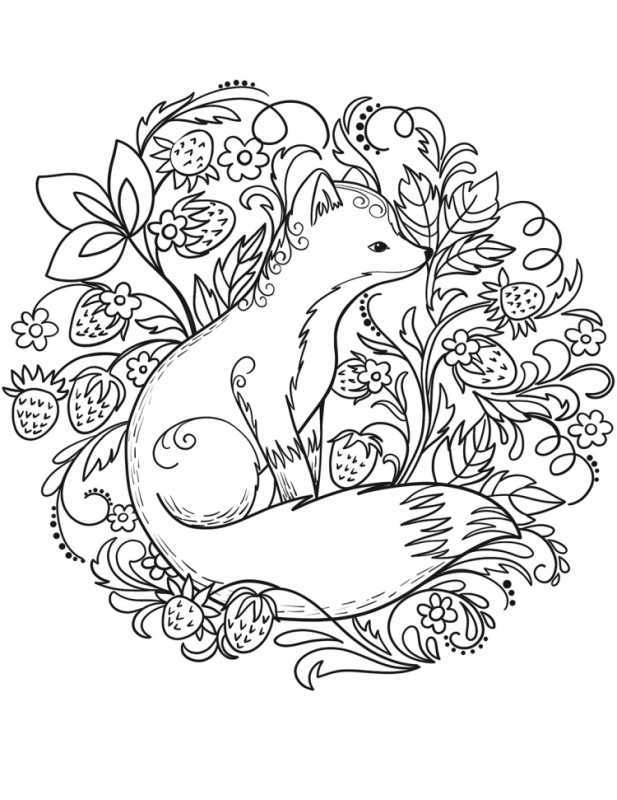 Раскраска лисы