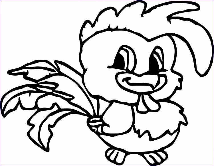 Цыпленок. Раскраски