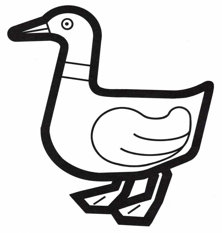 Раскраска. Гадкий утенок