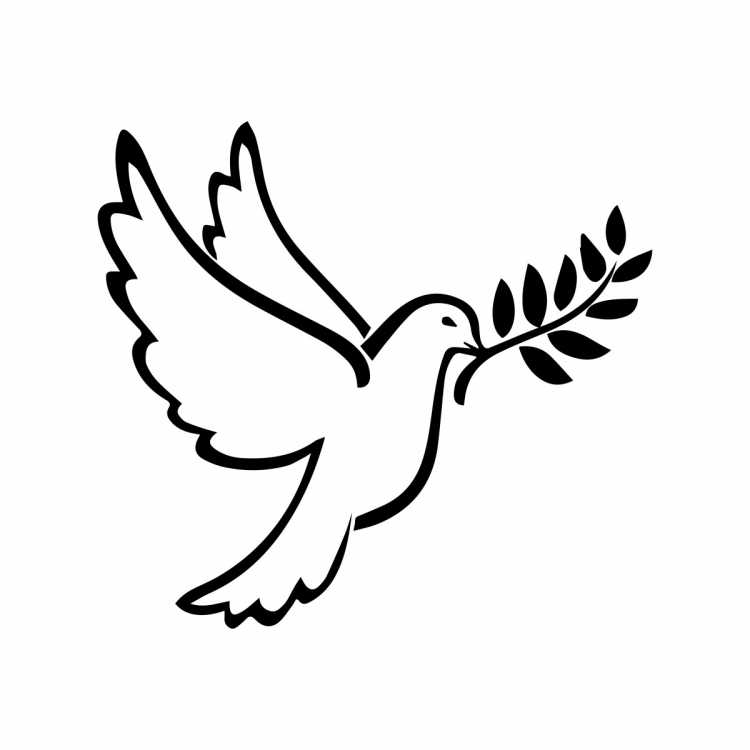 Голубь рисунок карандашом
