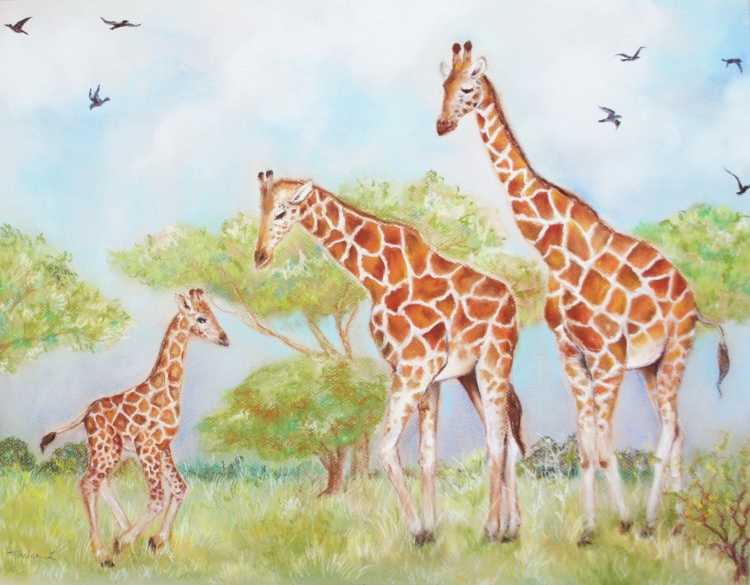 Рисование для детей Жираф