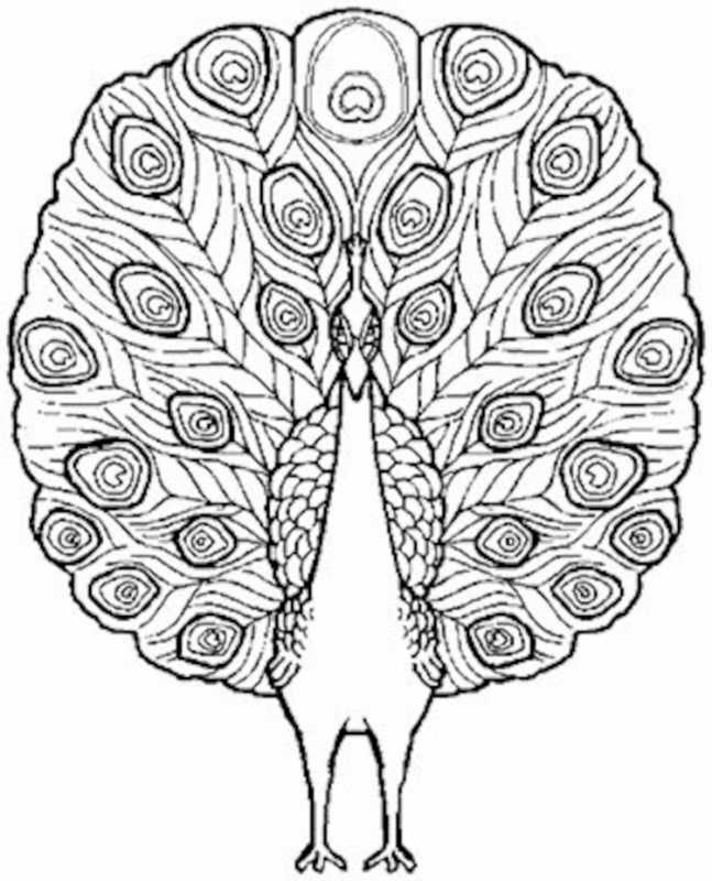 Жар птица раскраска