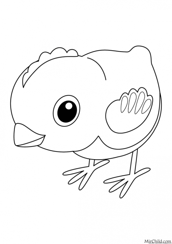 Птенцы раскраска для детей