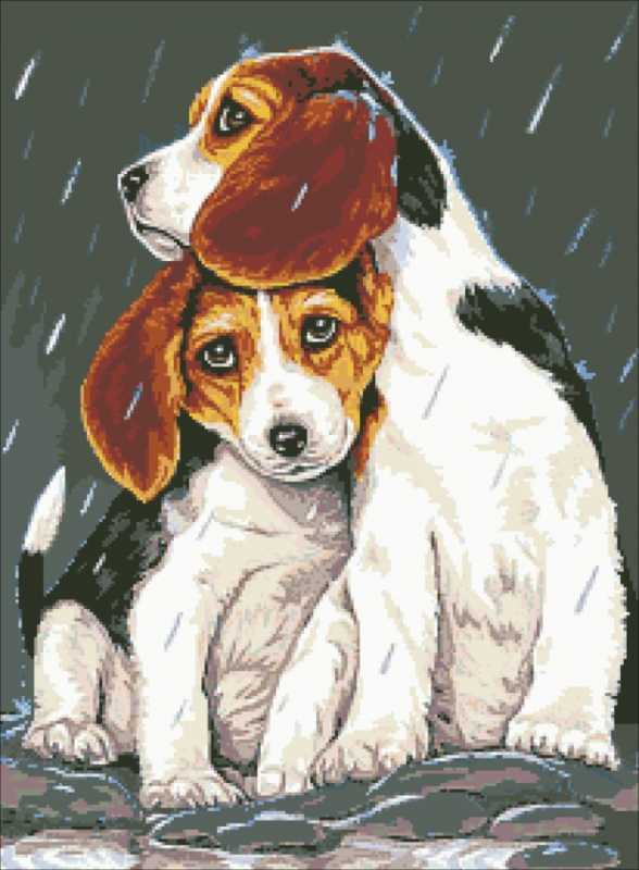 Художница Linda Picken