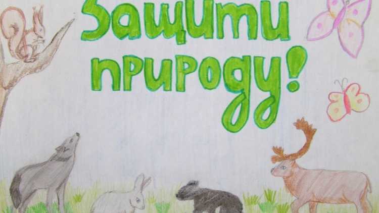 Плакат берегите животных