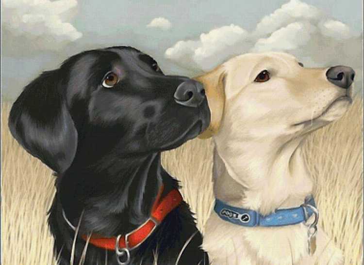 Собака иллюстрация