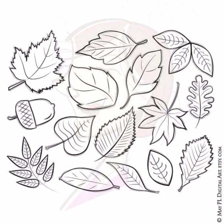 Осенние листья раскраска для детей