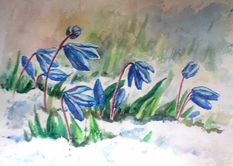 Поляна подснежников рисунок