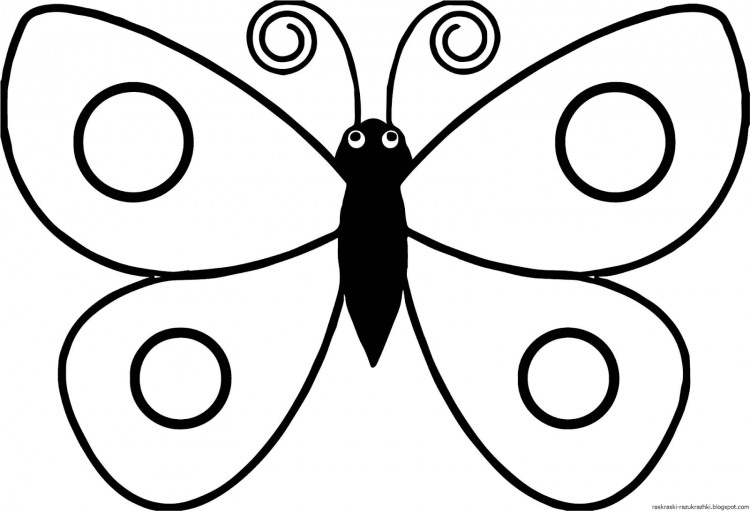 Раскраска "бабочки"