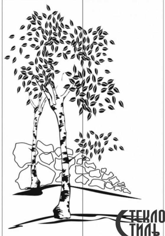 Тополь раскраска