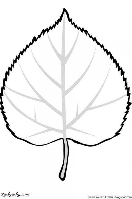 Кленовый лист раскраска