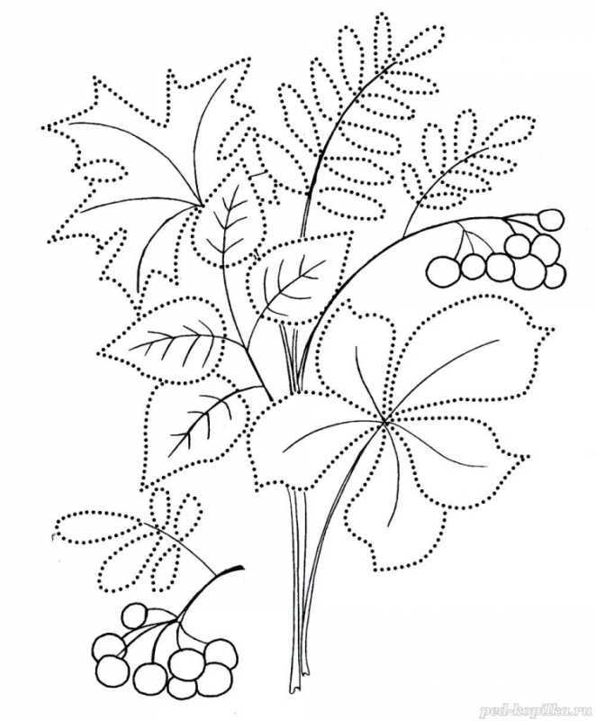 Осенняя раскраска