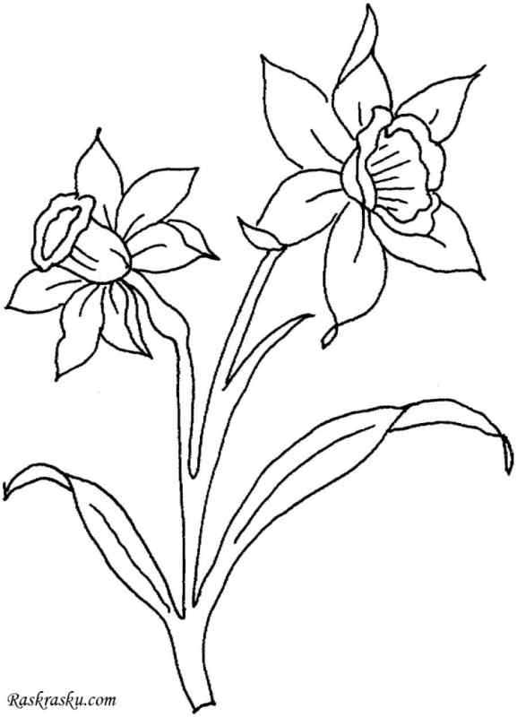 Роза картинка раскраска