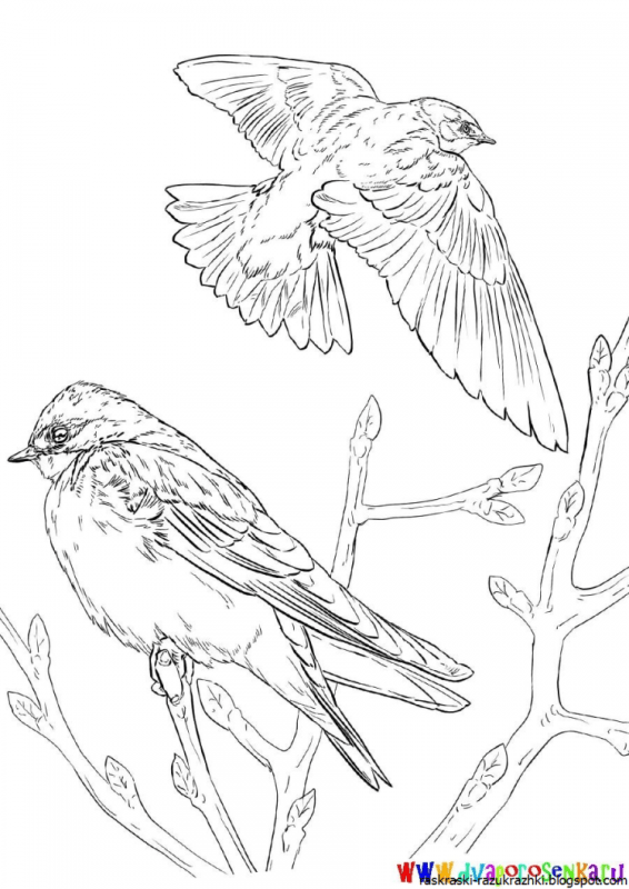 Знак ласточки