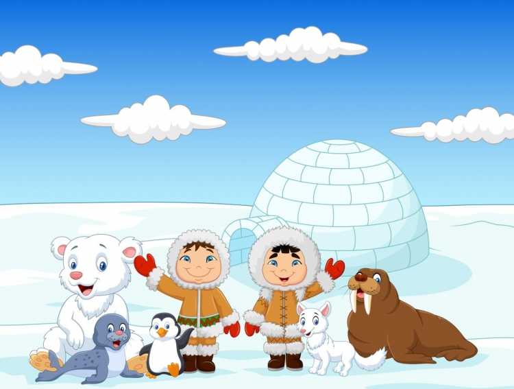 Раскраски животных Арктики для детей