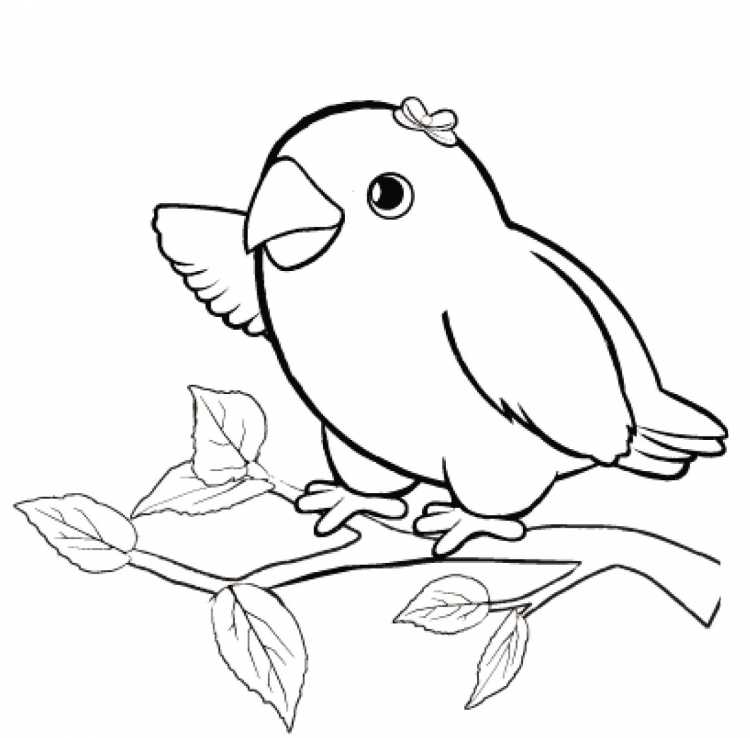 Птичка на веточке раскраска