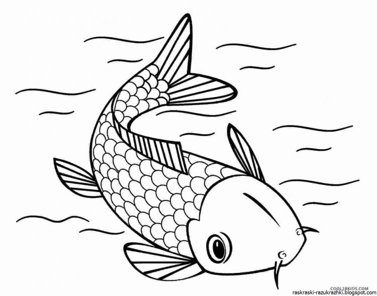 Раскраска рыбка