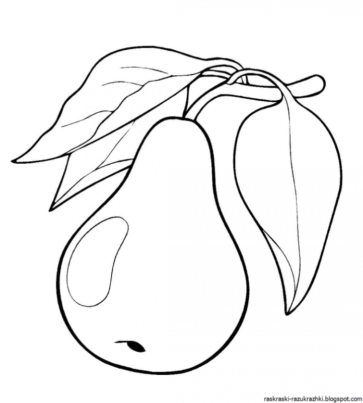 Натюрморт с фруктами раскраска