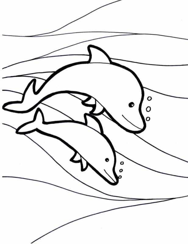 Раскраска "дельфины"