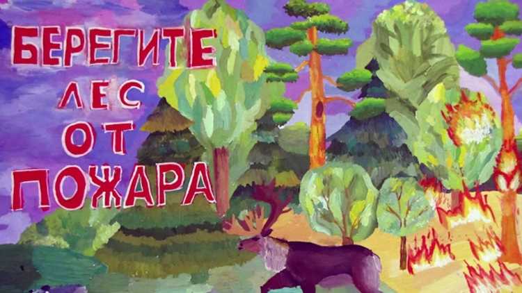Берегите лес от пожара рисунки