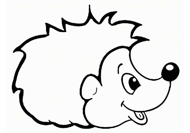 Раскраска еж детям 3 года