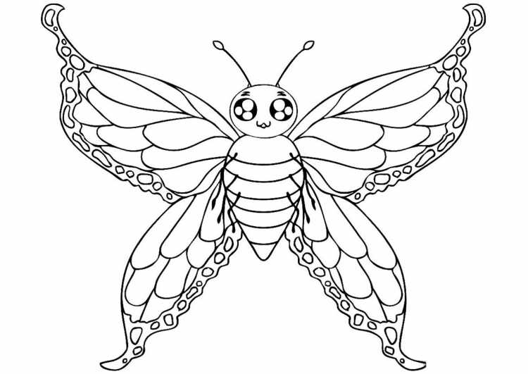 Насекомые. Раскраска