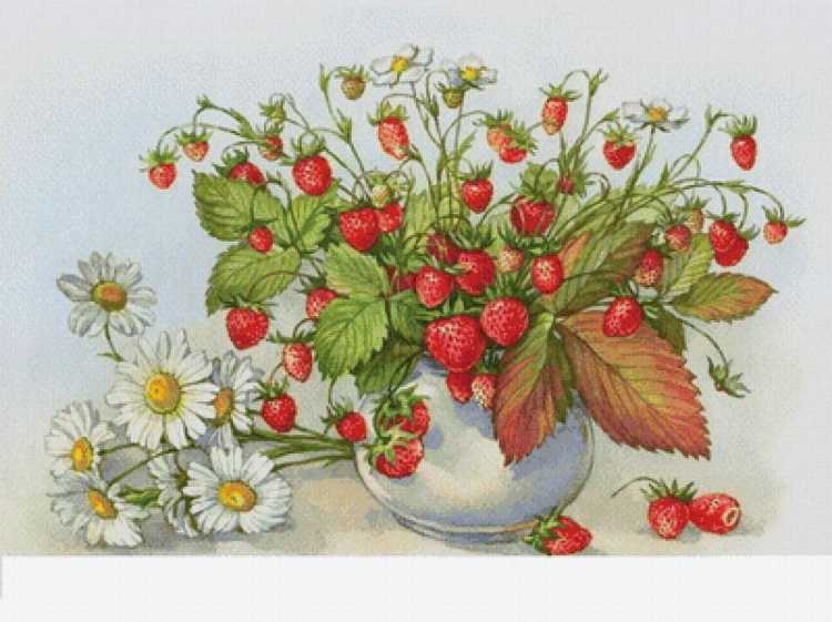 Земляника Лесная акварелью