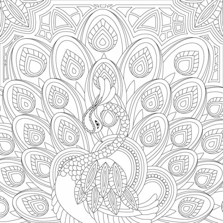 Раскраски сложные Павлины