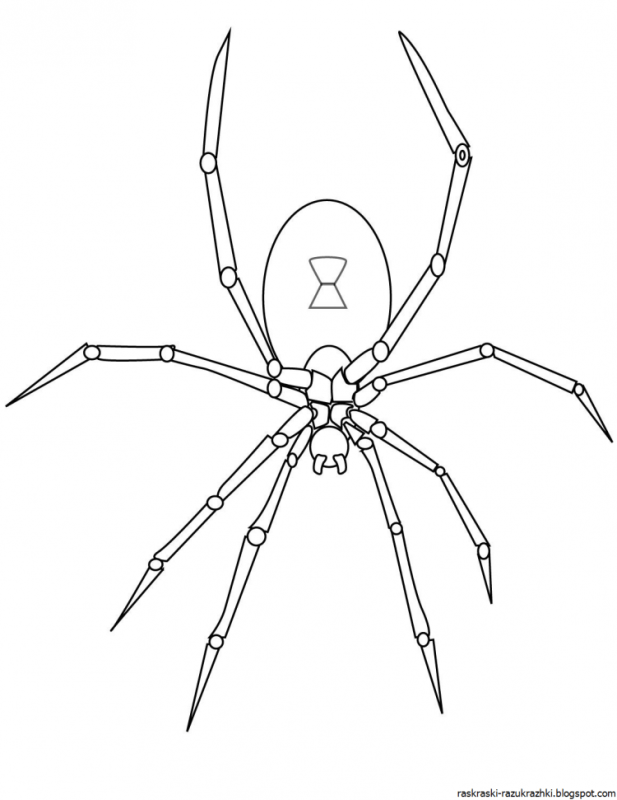 Человек паук раскраска