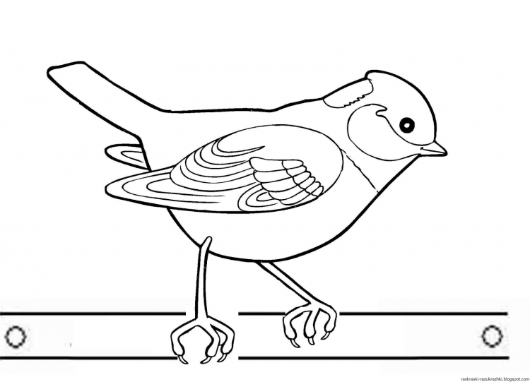 Разукрашка зимующие птицы синица