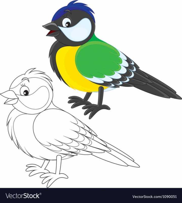 Птицы раскраска цветная