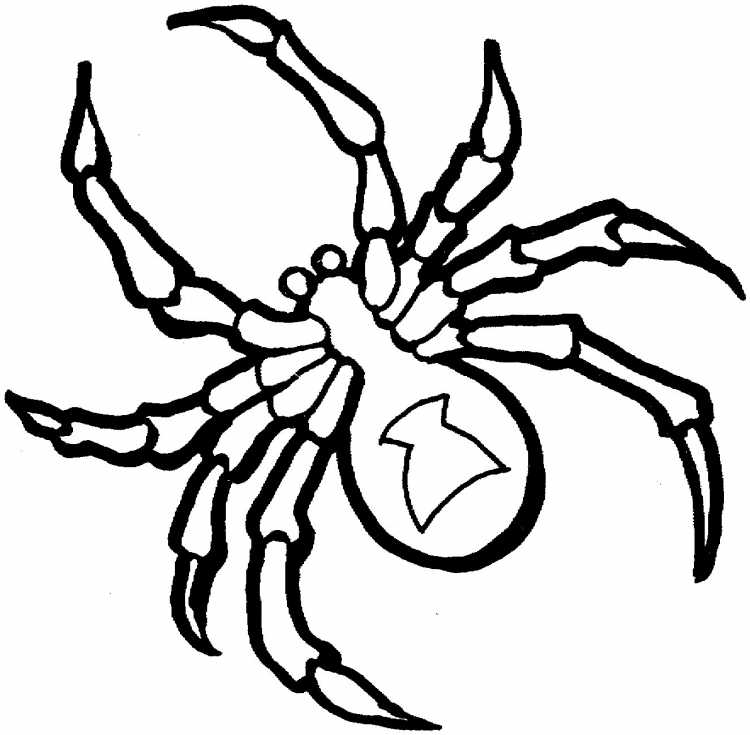 Spider Coloring Page раскраска