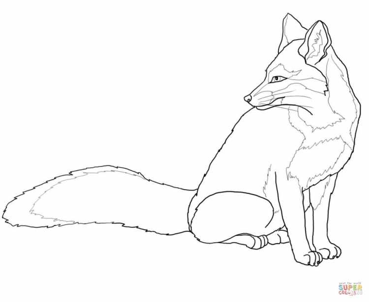 Лисичка раскраска для детей