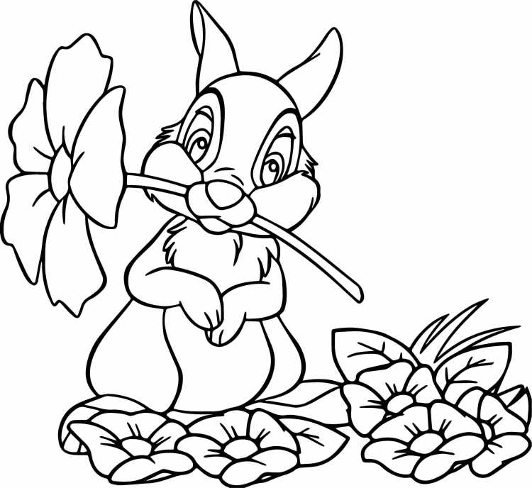 Раскраска зайчик