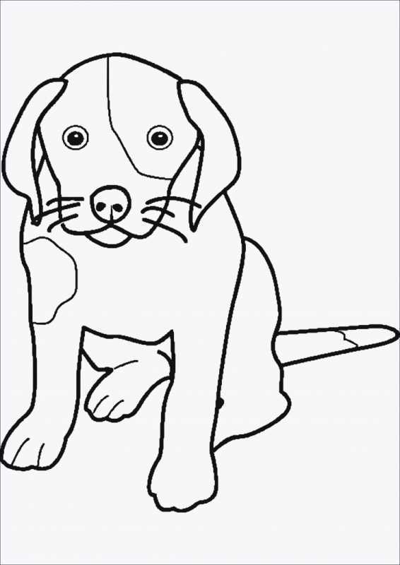 Собака раскраска для детей