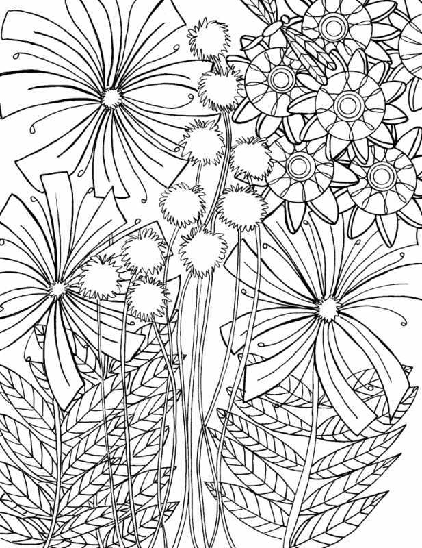 Полевые цветы раскраска для детей