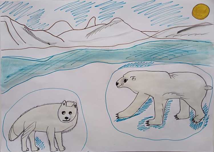 Нарисовать Арктику
