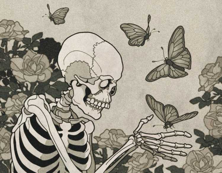 Скелет бабочки