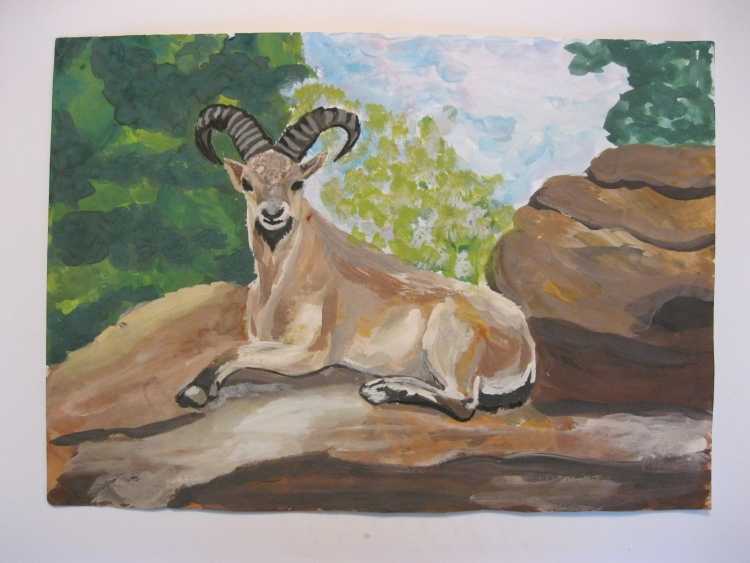 Тур рисунок животного