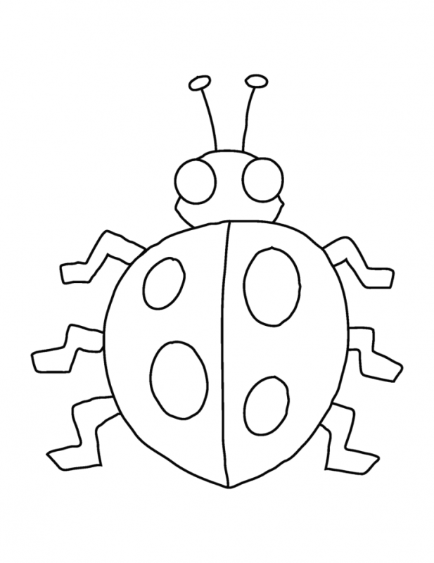 Божья коровка на цветке раскраска