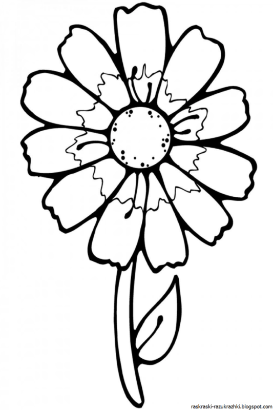 Букет раскраска