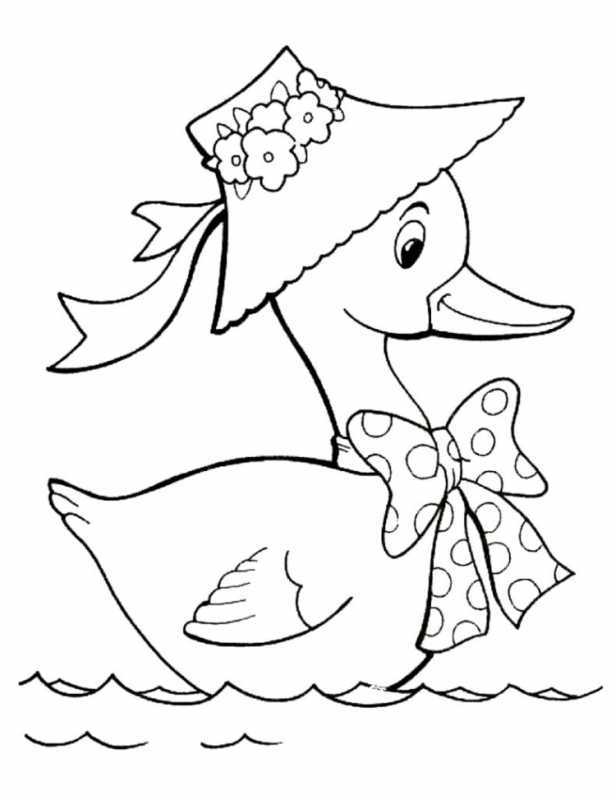 Утка схематично