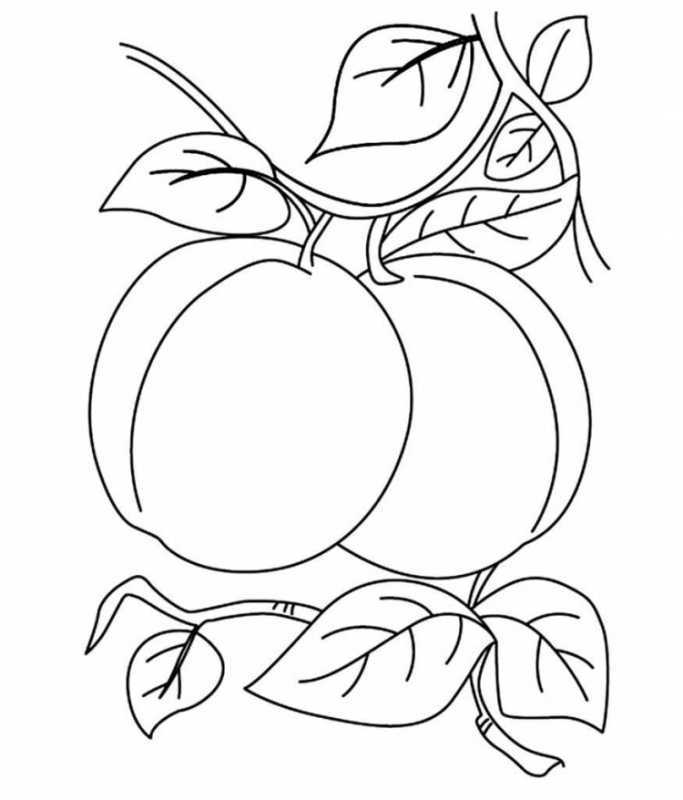 Раскраска для малышей фрукты и овощи