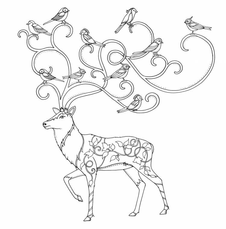 Оленm раскраска для детей