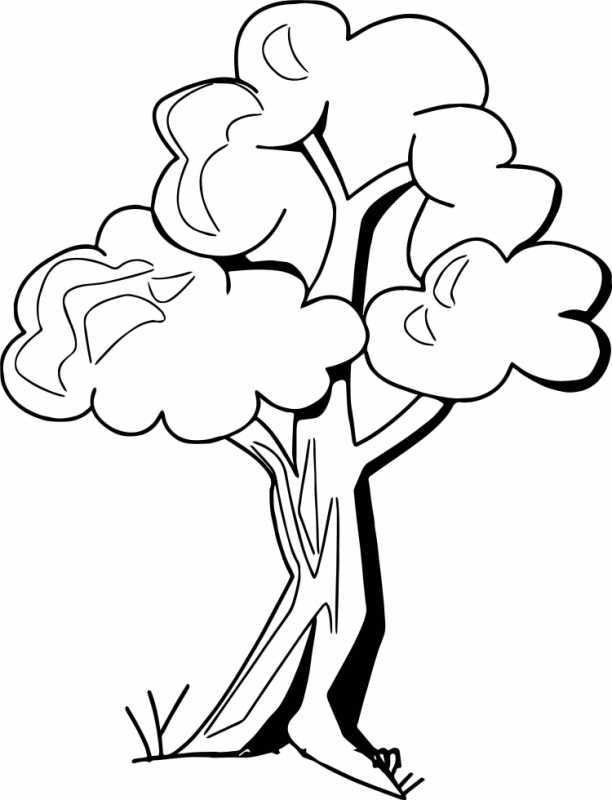 Дерево раскраска для детей