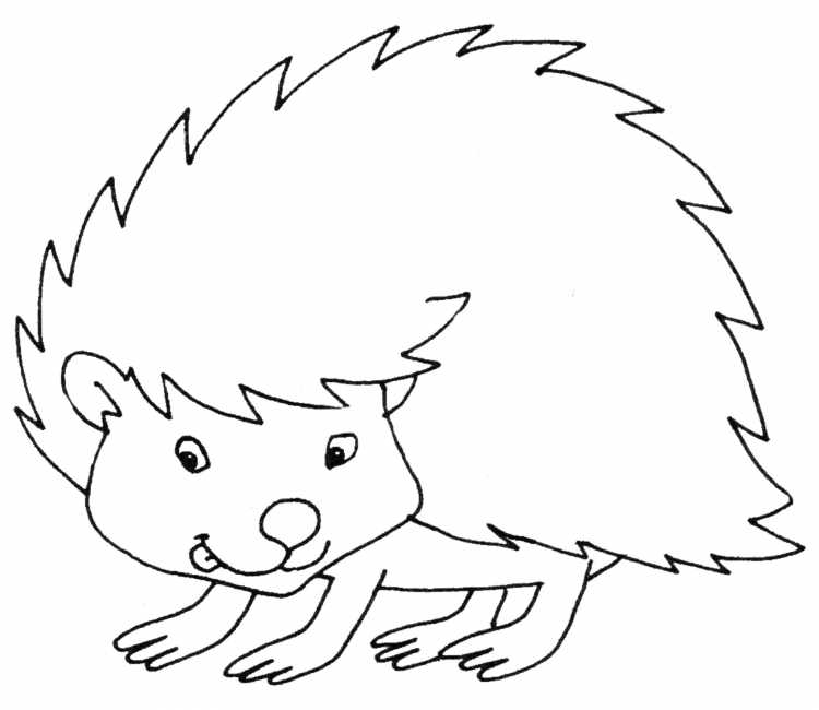 Раскраска веселый Ежик